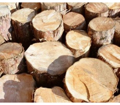 Waste Stump And Branch